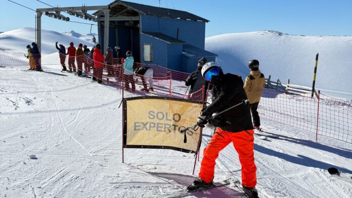 Javier Mota Javier Mota